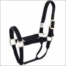 BLACK HILASON PADDED 1 INCH NYLON AVERAGE HORSE HALTER BRASS PLATED HARDWARE
