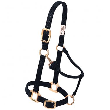 WEAVER BLACK HORSE NYLON HEAT SEALED BUCKLE HALTER ADJUSTABLE SMALL HORSE