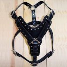 DH101F- HILASON BLACK PADDED GENUINE LEATHER DOG HARNESS W/ MATCHING LEASH SML