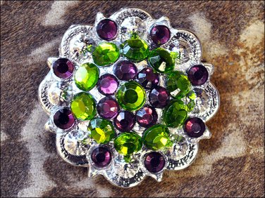 SET OF 2 PERIDOT GREEN & AMETHYST CRYSTALS BERRY CONCHO RHINESTONE HEADSTALL