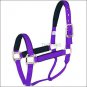 PURPLE HILASON PADDED 1 INCH NYLON HORSE HALTER WITH BRASS PLATED HARDWARE