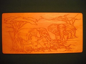 Elephants