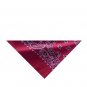 3 IN 1 COOLER/BANDANNA/HEAD BAND/NECK TIE RED PAISLEY