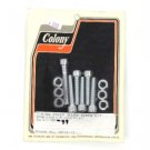 CHROME TIMING COVER ALLEN SCREW KIT HARLEY BIG TWIN