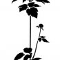 Flower Stencil Garden Anemone - Reusable Stencils for easy wall decor