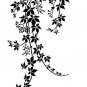 Wall Stencil Virginia Creeper MED, Reusable Stencil better than Decals