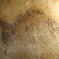 RAISED PLASTER STENCIL LARGE FOSSIL FISH STURDY 12MIL!