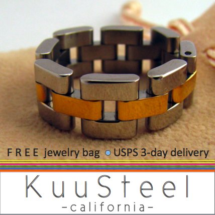 Mens Ring - Watch Band - Two Tone Stainless Steel Plain Wedding Band