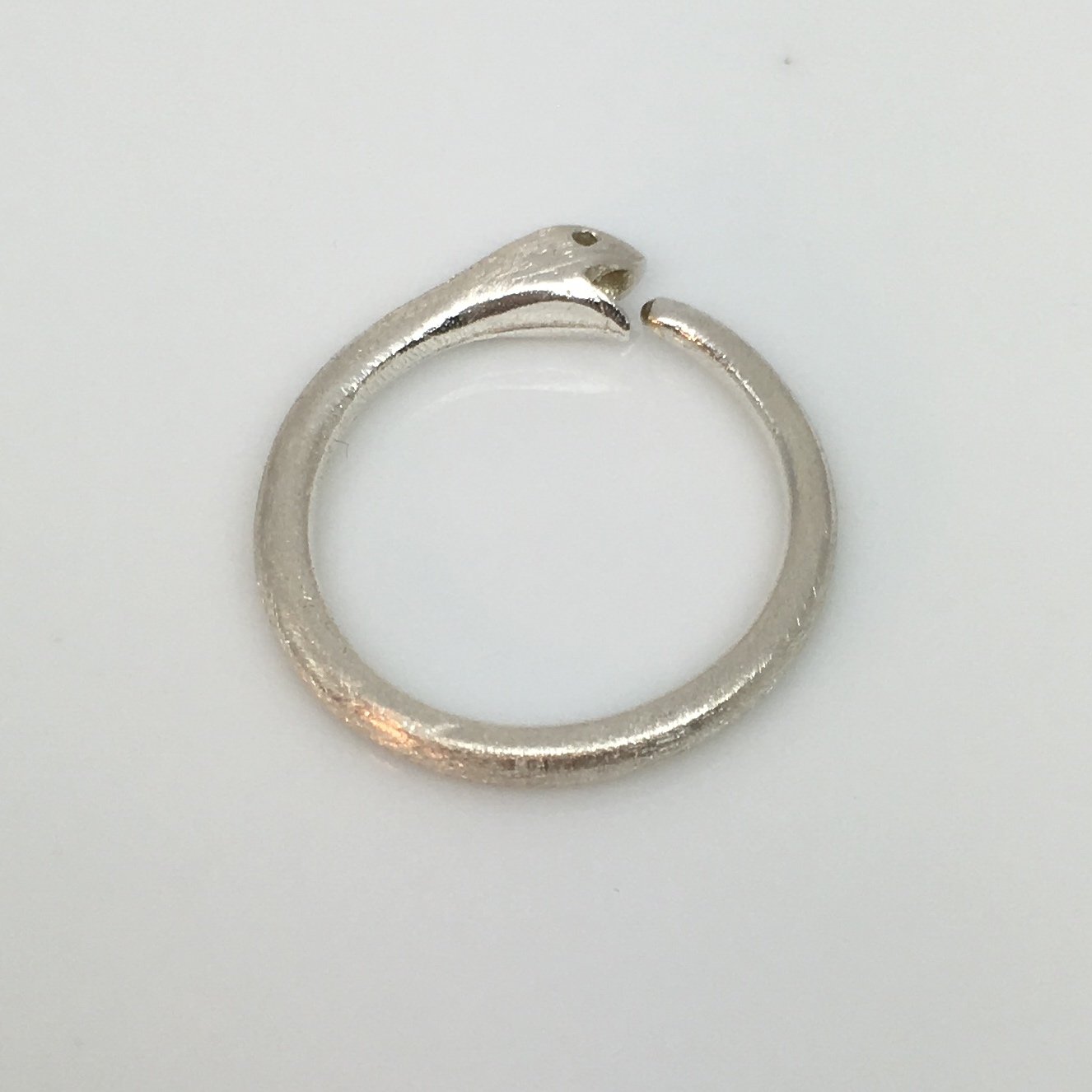 14 gauge earring, ouroboros snake eating tail hoop earring, ECE195N