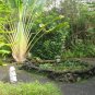 real estate vacation rental