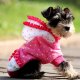 Pets Fashion