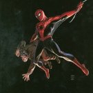 The Amazing Spider-Man: Marvel Masterworks (vol 1), TPB