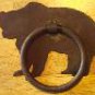 Bear Towel Ring
