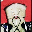 Red Legged Surgeon