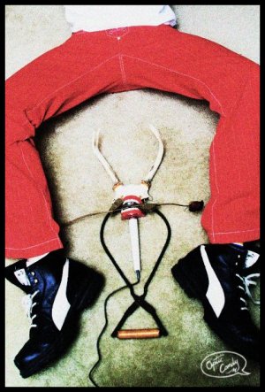 Red Legged Surgeon