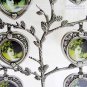 Rose Family Tree silver plated Picture display Photo Frame/home deco