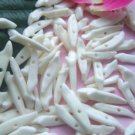 Lot of 100pcs 2cm Dog Teeth/Tooth Taxidermy DIY Jewelry bead