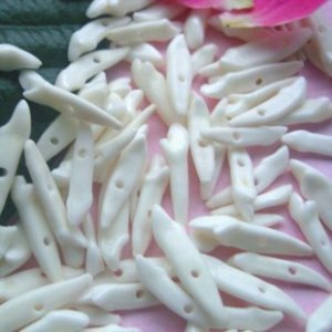 Lot of 100pcs 2cm Dog Teeth/Tooth Taxidermy DIY Jewelry bead