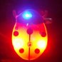 Lot of 25pcs Ladybird Bug Animal Pin Brooch Luminous Party Favor