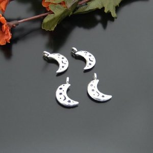 Lot of 500pcs mini Moon doll house miniature toy/jewelry Charm CM731