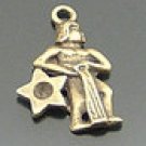 Lot of 300pcs mini Brass Aquarius doll house miniature toy/jewelry Charm CM940