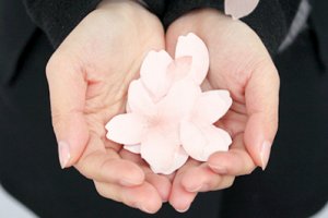 3 x Flower Shaped Paper Memo Pad Sticky /Desk Note