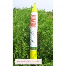 BIG Inflatable Giant Crayon Pencil Summer Swimming Swim Toy