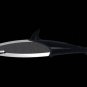 NIB Shark Shaped Stainless Knife Animal House