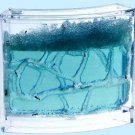 Antwork Ant Habitat Farm Educational Bug