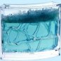 Antwork Ant Habitat Farm Educational Bug