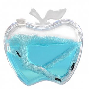 Antwork Apple Shaped Ant Habitat Farm Educational Bug for Kid