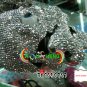 Crystal Rhinestone Skull Bone Flash Telephone Unique Flash Eye Silver