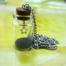 Get a star from the sky Glass vial necklace Pendant bottle necklace NW544