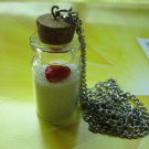 Heart in a bottle Glass vial necklace Pendant bottle necklace NW541