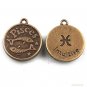 Lot of 300pcs mini Brass Pisces (fish) doll house miniature toy/jewelry Charm CM926