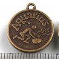 Lot of 200pcs mini Brass Aquarius doll house miniature toy/jewelry Charm CM920