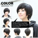 Short Straight Dark Brown / Black Cosplay Wigs WD20