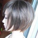 Woman Short  Straight Brownish Black Fashion Wigs With Wig Cap  WD14