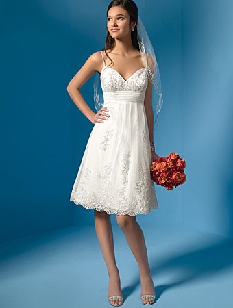 Free Shipping!!Graceful/Spaghetti Strap/Sweetneart Neckline/Knee-length/Wedding Dress/AA004