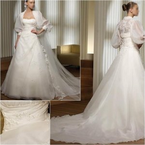 Free Shipping/2011 New arrival/A-line/Strapless/Satin&Organza/Chapel train/Wedding Dress/A1013