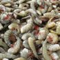 Headless Shrimp