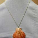 Shell Necklace Style 3