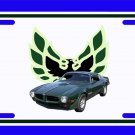 NEW 1973 Brewster Green Eagle Delete Pontiac Firebird Trans AM License Plate FREE SHIPPING! NEW 1973 Brewster Green Eagle Delete Pontiac Firebird Trans AM License Plate FREE SHIPPING!