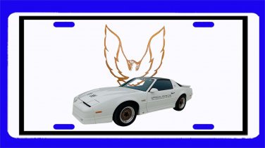 NEW 1989 Pontiac Firebird Trans AM Pace Car License Plate!! FREE SHIPPING!!