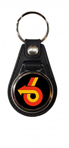 NEW Buick Turbo 6 logo keychains FREE SHIPPING!!