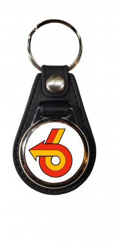NEW Buick Turbo 6 logo keychains FREE SHIPPING!!