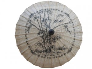 10 Inch Sa Paper Umbrella #4