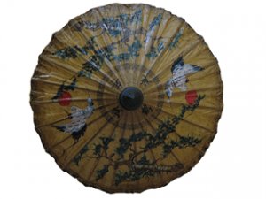 10 Inch Regular Sa Semi Umbrella #2