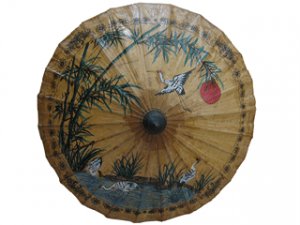 12 Inch Regular Sa Semi Umbrella #4