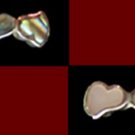 Sterling Silver/Pearlshell Hearts Ring, 8, Pearlshell
